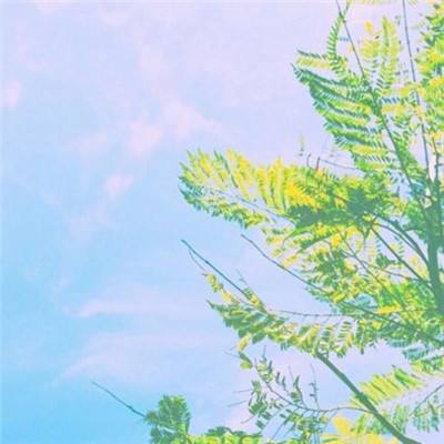 离火之境游戏官方下载